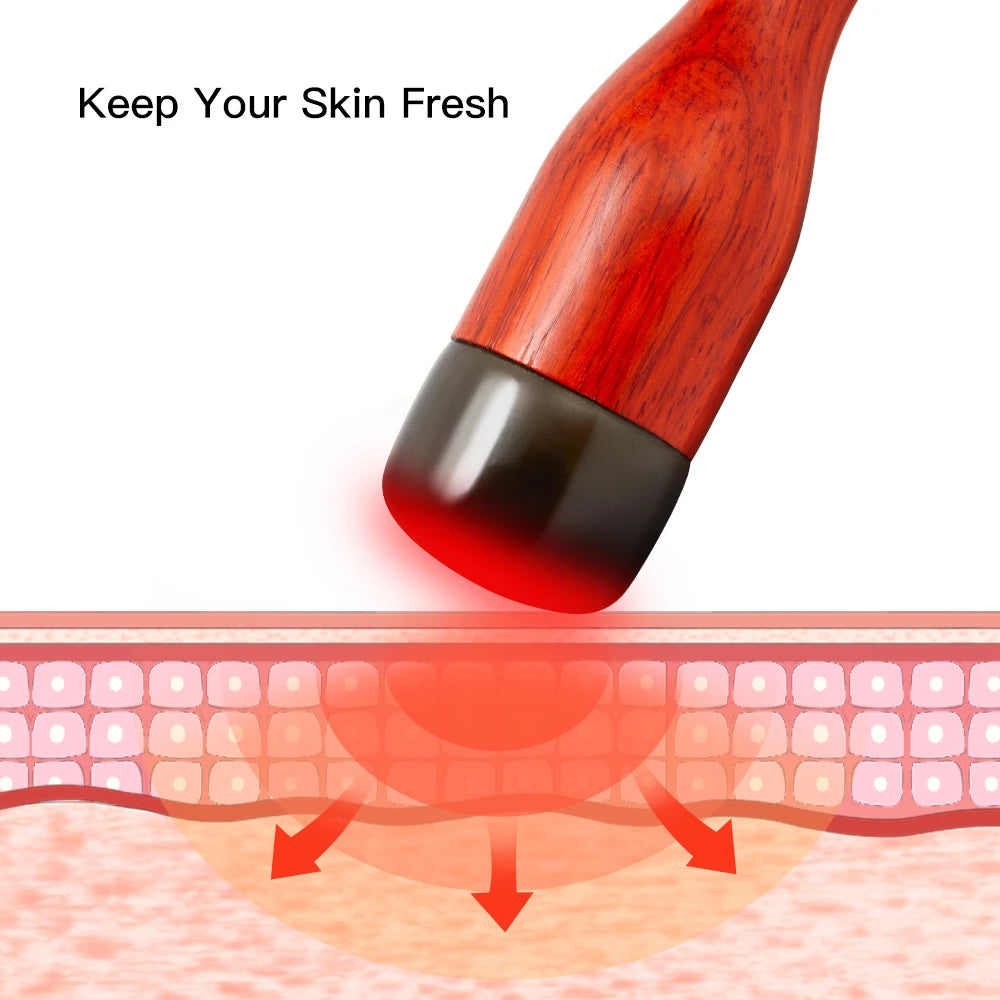 Electric Heated Gua Sha Massager