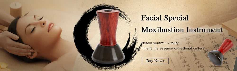 Electric Heated Gua Sha Massager