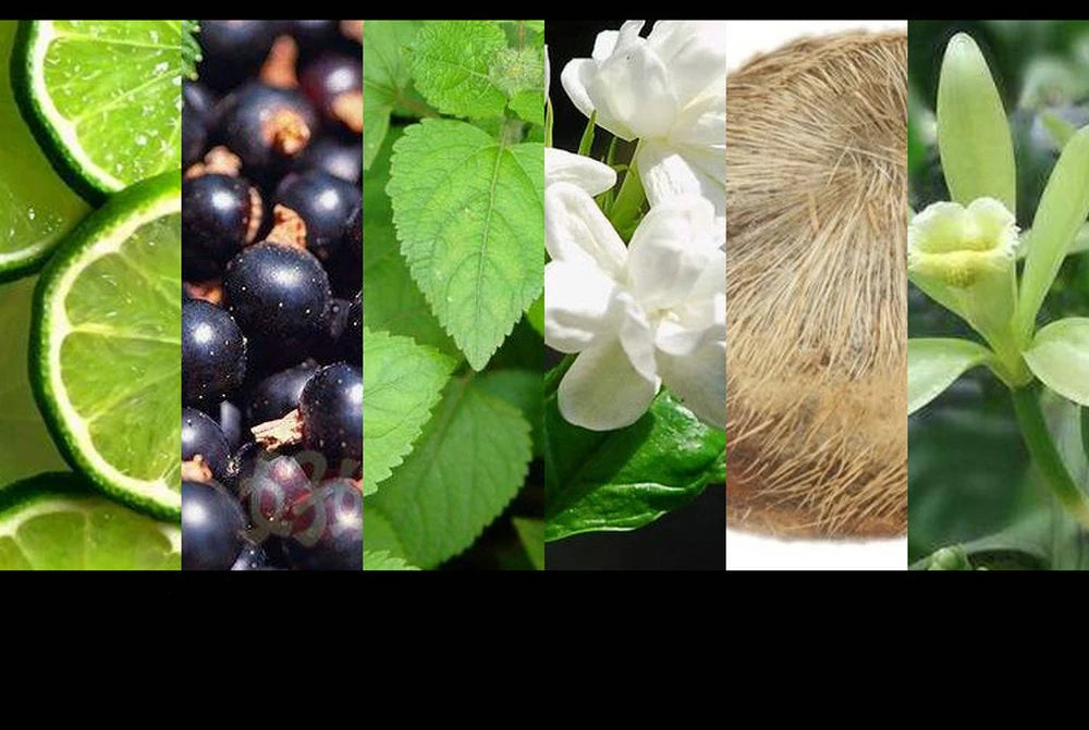 100ml Premium Perfume – Long-Lasting Floral Scent for Men & Women