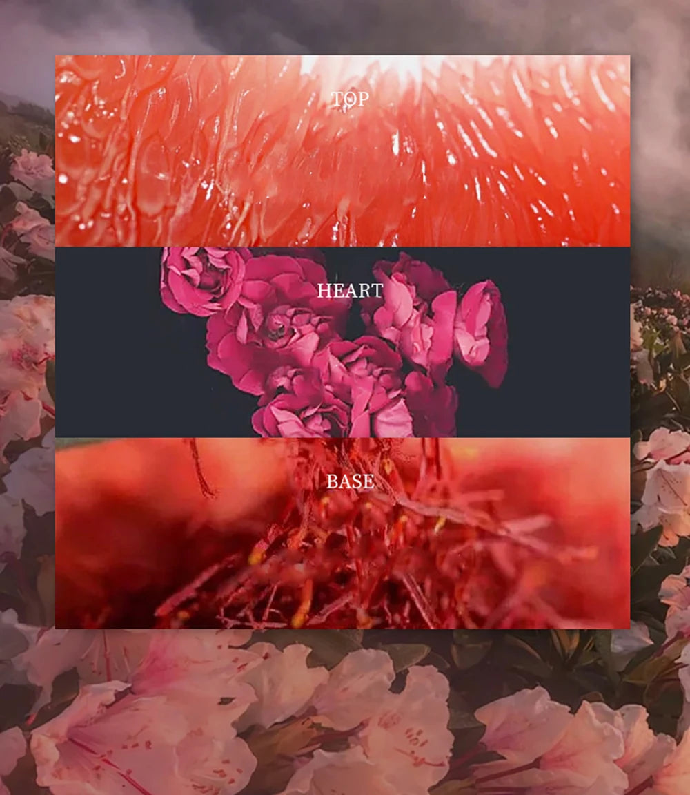 Luxury Floral Perfume for Women – 75ml