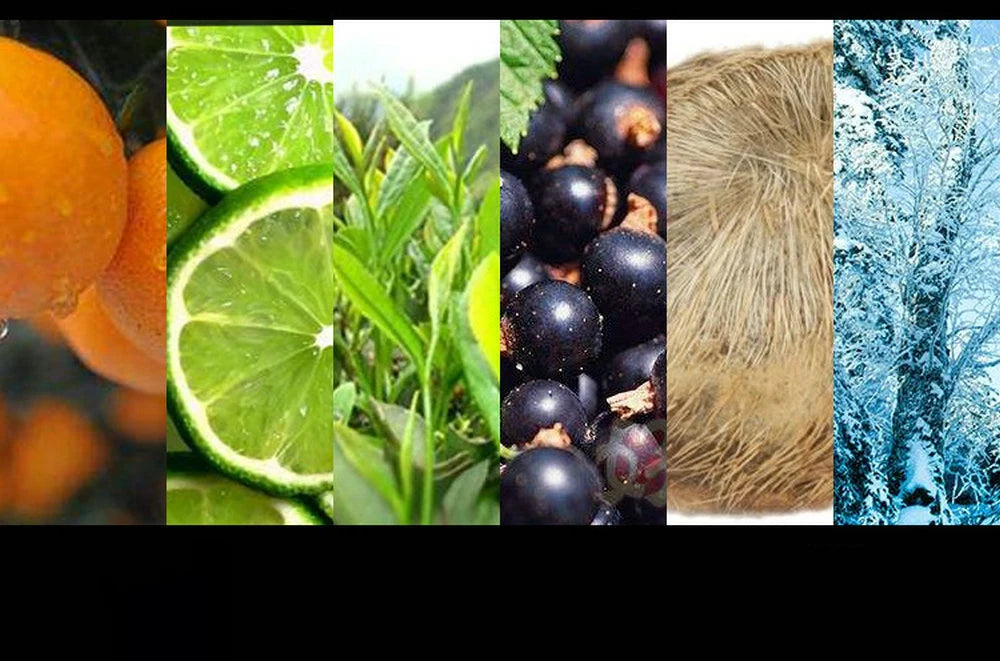 100ml Premium Perfume – Long-Lasting Floral Scent for Men & Women