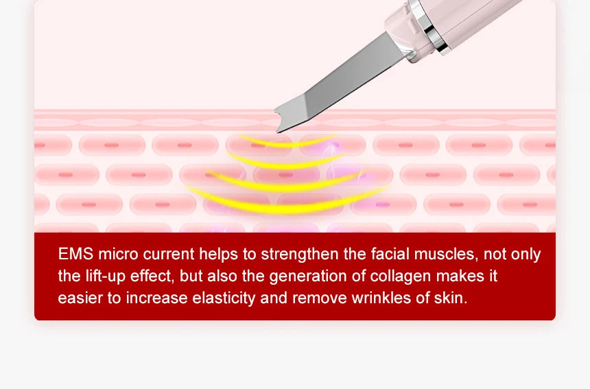 ANLAN Ultrasonic Skin Scrubber