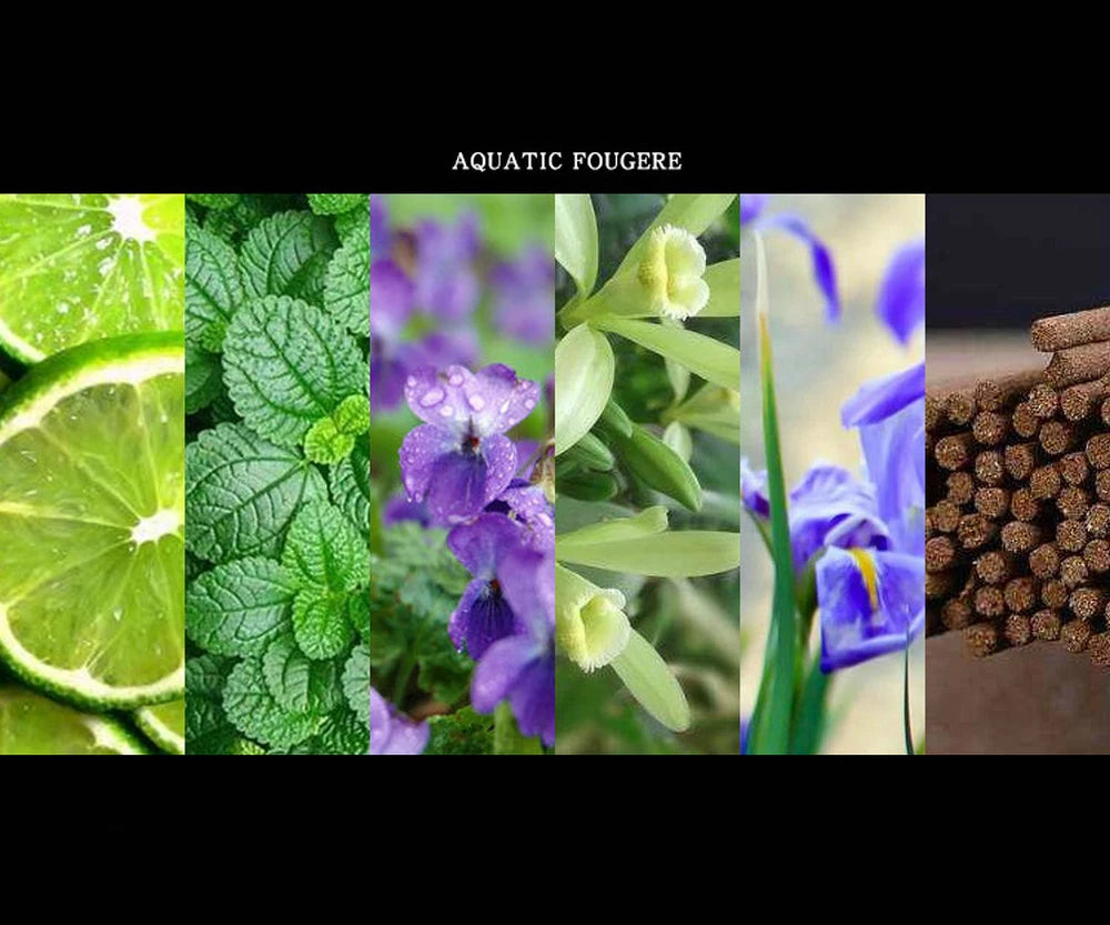 100ml Premium Perfume – Long-Lasting Floral Scent for Men & Women